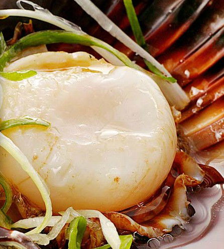 Golden Century Seafood Restaurant - Restaurant Gold Coast 2