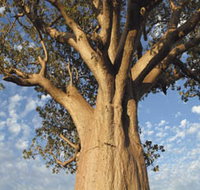 The Kimberley Grande - Restaurant Gold Coast