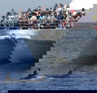 MoonshadowTQC Cruises - Restaurant Gold Coast