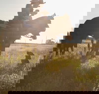 Balonne Cutting Horse Futurity - Restaurant Gold Coast