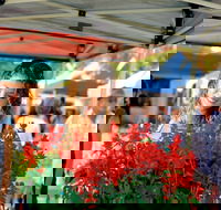 Ballina Missingham Farmers Market - Restaurant Gold Coast