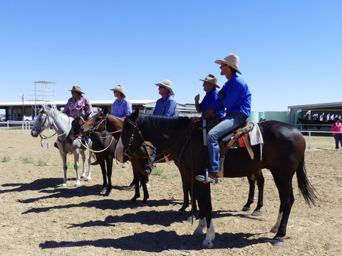 Betoota Horse And Motorbike Gymkhana - Restaurant Gold Coast 1