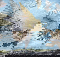 Dreams of Air and Flight - Restaurant Gold Coast