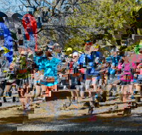 Duval Dam Buster Trail Run - Restaurant Gold Coast