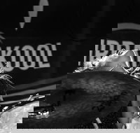 Girrakool Blues Festival and Barbecue - Restaurant Gold Coast