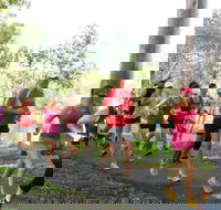 Gladstone Weekly Parkrun - Restaurant Gold Coast