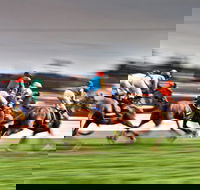 Grafton July Racing Carnival - Restaurant Gold Coast