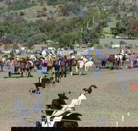 Gresford Agricultural Show - Restaurant Gold Coast