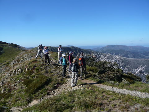 Hedonistic Hiking's Falls Creek To Hotham - Restaurant Gold Coast 1