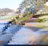 Mountain Man Tri Challenge - Restaurant Gold Coast