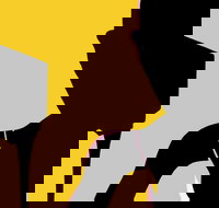 Naked Classics Fantastic Symphonies - Restaurant Gold Coast