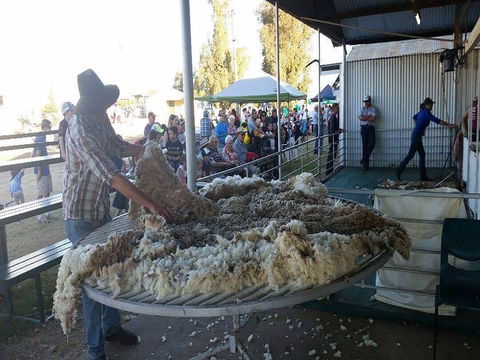 Narrabri Show - Restaurant Gold Coast 0