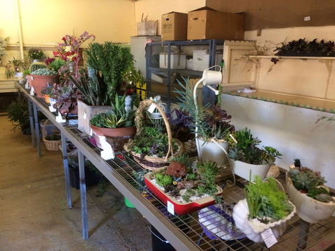 Narrabri Show - Restaurant Gold Coast 2
