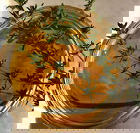 Online live streaming class DIY Skincare Products - Restaurant Gold Coast