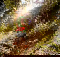 Run Dungog - Restaurant Gold Coast