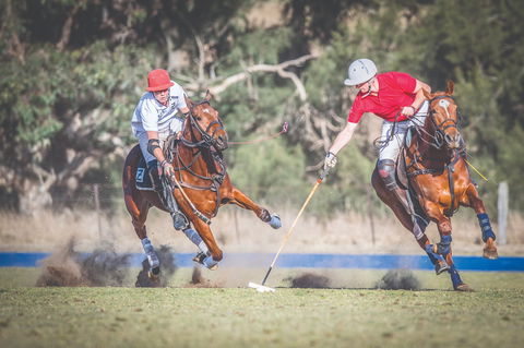 Scone Horse Festival - Restaurant Gold Coast 1