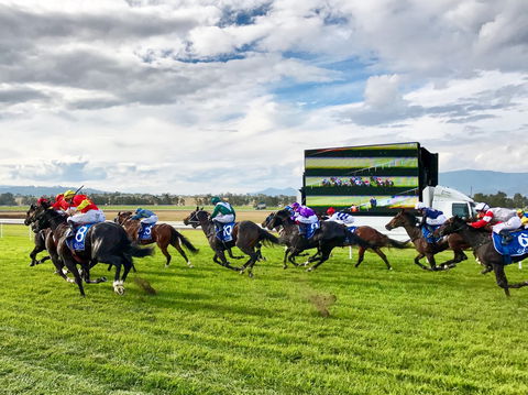 Scone Horse Festival - Restaurant Gold Coast 2