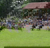 Tumut Derby Day - Restaurant Gold Coast