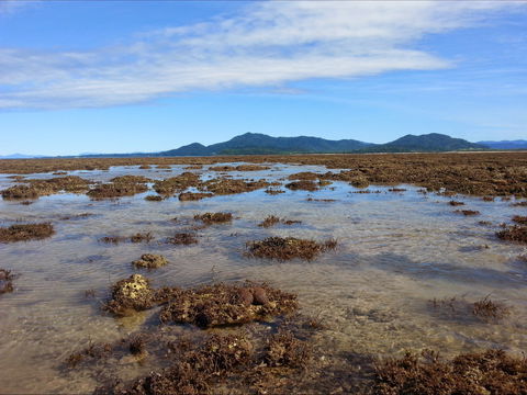 Walk To The Reef - Restaurant Gold Coast 0