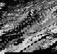 War on our shores - Restaurant Gold Coast