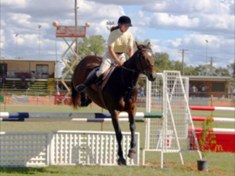 Wee Waa Show - Restaurant Gold Coast 0