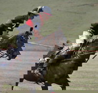 Wirragulla Annual Polo Tournament - Restaurant Gold Coast