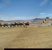 Adaminaby Cup Race Day - Restaurant Gold Coast