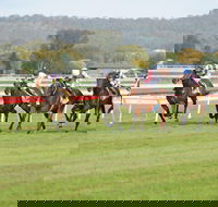 Aggies Race Day - Restaurant Gold Coast