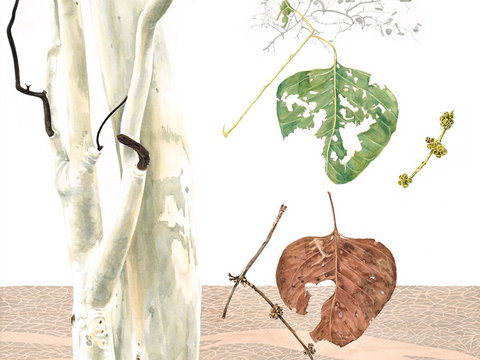 Artistic Endeavour - Restaurant Gold Coast 0