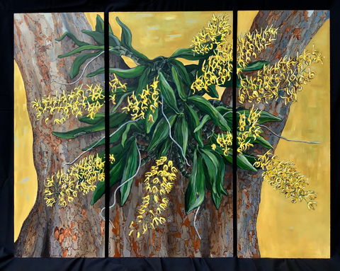A Still Life - Solo Exhibition  Karen Sedaitis - Restaurant Gold Coast 1