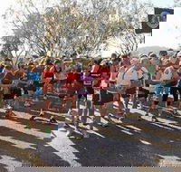 Ballina Lions Fun-Run-Walk - Restaurant Gold Coast