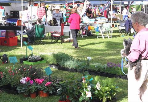 Batemans Bay Sunday Market - Restaurant Gold Coast 2