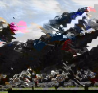 Batemans Bay Cup - Restaurant Gold Coast