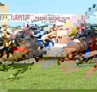 Casino Cup - Restaurant Gold Coast