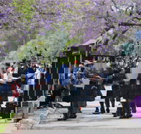 Celtic Festival of Queensland - Restaurant Gold Coast