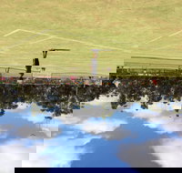 Charlton Lawn Tennis Club Annual Tournament - Restaurant Gold Coast