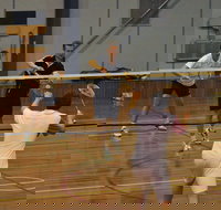 Charlton Badminton Club Ladies Tournament - Restaurant Gold Coast