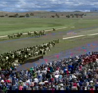 Cooma Sundowners Cup - Restaurant Gold Coast