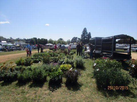 Crookwell Rotary Swap Meet And Market Day - Restaurant Gold Coast 1