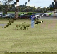 Dean Sheepdog Trials - Old Sniff Classic - Restaurant Gold Coast