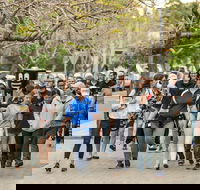 Diabetes Australia Walk to Work Day-Sydney - Restaurant Gold Coast
