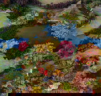 Glenrock Gardens Open Garden - Restaurant Gold Coast