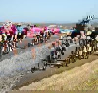 Great Ocean  Otway Classic Ride - Restaurant Gold Coast