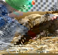 Horsham Agricultural Show - Restaurant Gold Coast