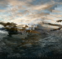 IRONMAN 70.3 Western Australia - Restaurant Gold Coast