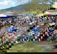 Jamming at Jingellic - Restaurant Gold Coast