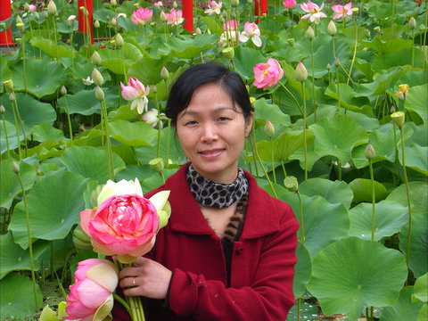 Lotus Flower Season - Restaurant Gold Coast 1