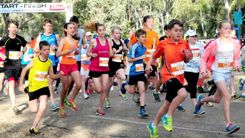 MAAS Group Dubbo Stampede Running Festival - Restaurant Gold Coast 0