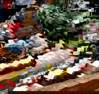 Manjimup Farmers Market - Restaurant Gold Coast