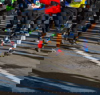 Moruya Town to Surf Fun Run - Restaurant Gold Coast